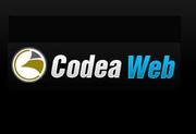 Codea Website Design And Website Development Company US