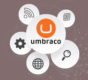 Skilled Umbraco Developer for Website Development