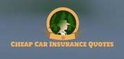 Cheap Car Insurance New York : Auto Insurance Agency