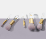 Are Your Looking 5 Piece Makeup Brush Set?