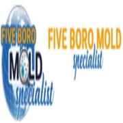Mold Testing NYC,  Mold Inspection NYC,  Mold Specialist NYC