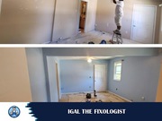  Exterior painting contractors | Igal The Fixologist