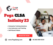 Pega CLSA Instructor-led Training by IT Expert
