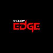 Transform Your Business: AI-First Software Engineering by Wildnet Edge