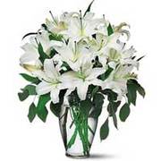 Send your orders online for flowers & gifts